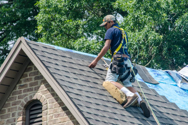 Best Shingle Roofing Installation  in Union City, GA